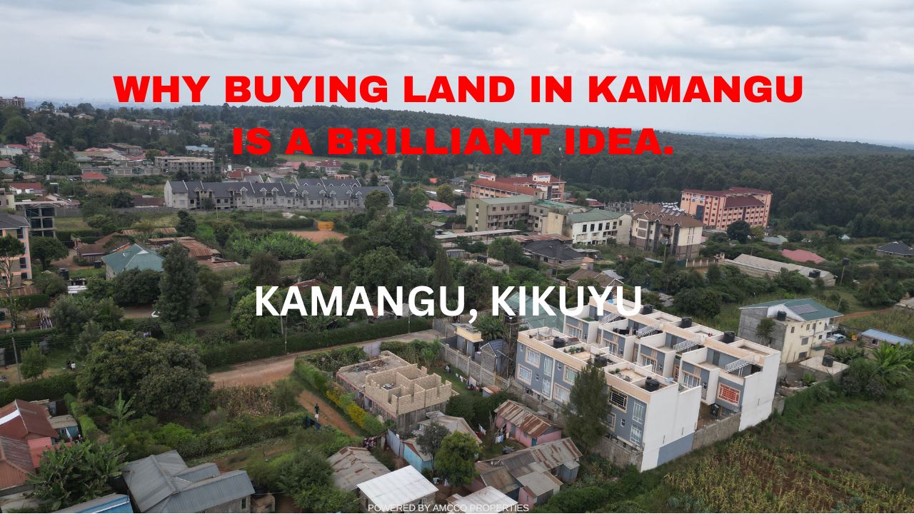 Why Buying Land in Kamangu Is a Brilliant Idea.